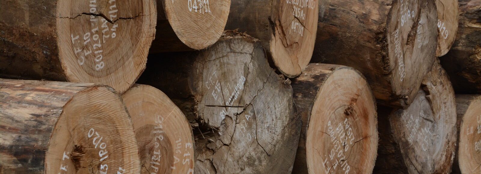 <h2 class='so-single__pagetitle'>Déforestation évitée (REDD+)<h2>