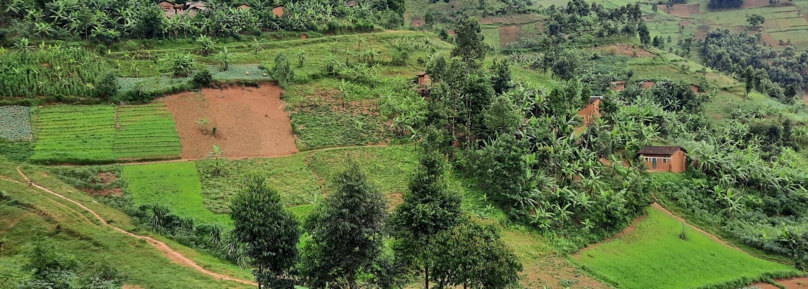 <h2 class='so-single__pagetitle'>Territoires</h2>