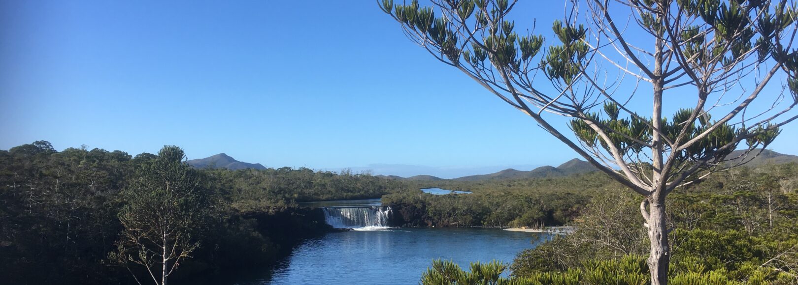 <h1 class='so-single__pagetitle'>Évaluation de politiques publiques, plans et programmes<h1>