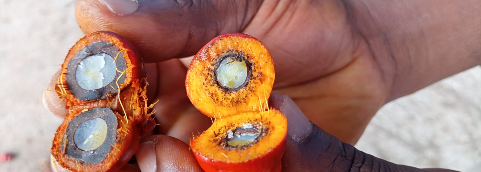 <h1 class='so-single__pagetitle'>Appui au sourcing durable<h1>