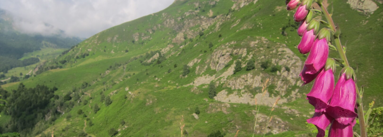 <h2 class='so-single__pagetitle'>Évaluations</h2>