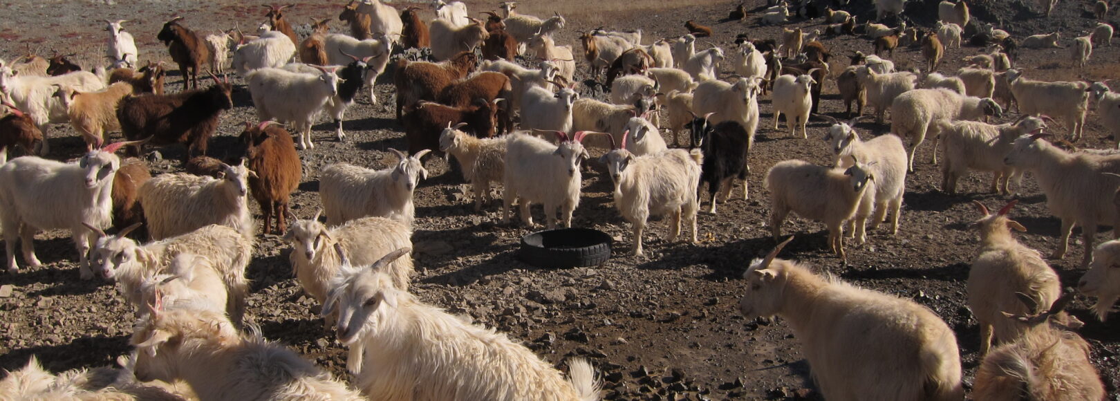 <h1 class='so-single__pagetitle'>Évaluation de projets<h1>