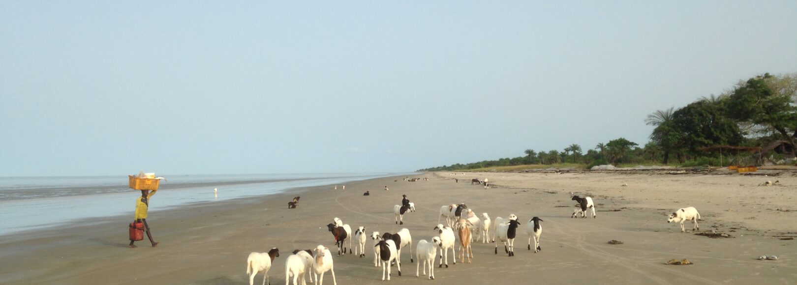 <h1 class='so-single__pagetitle'>Capitalisation<h1>