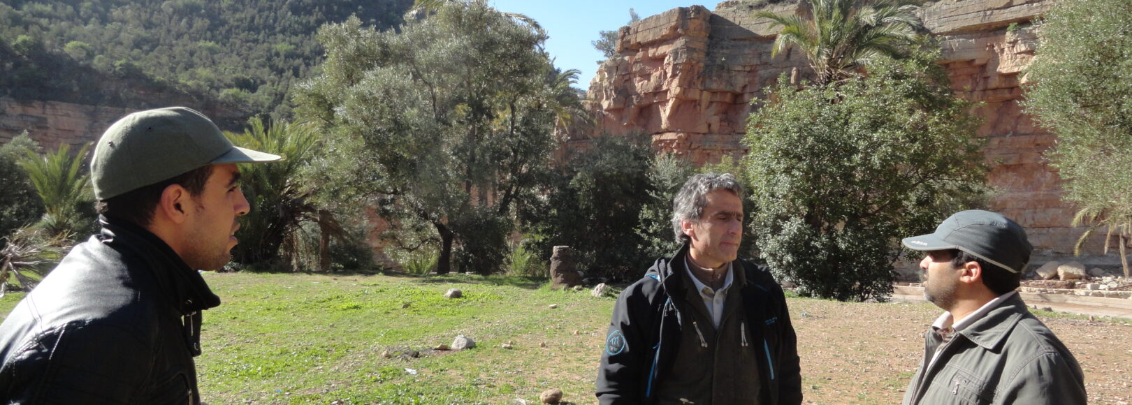 <h1 class='so-single__pagetitle'>Évaluation stratégique environnementale et sociale (ESES)<h1>