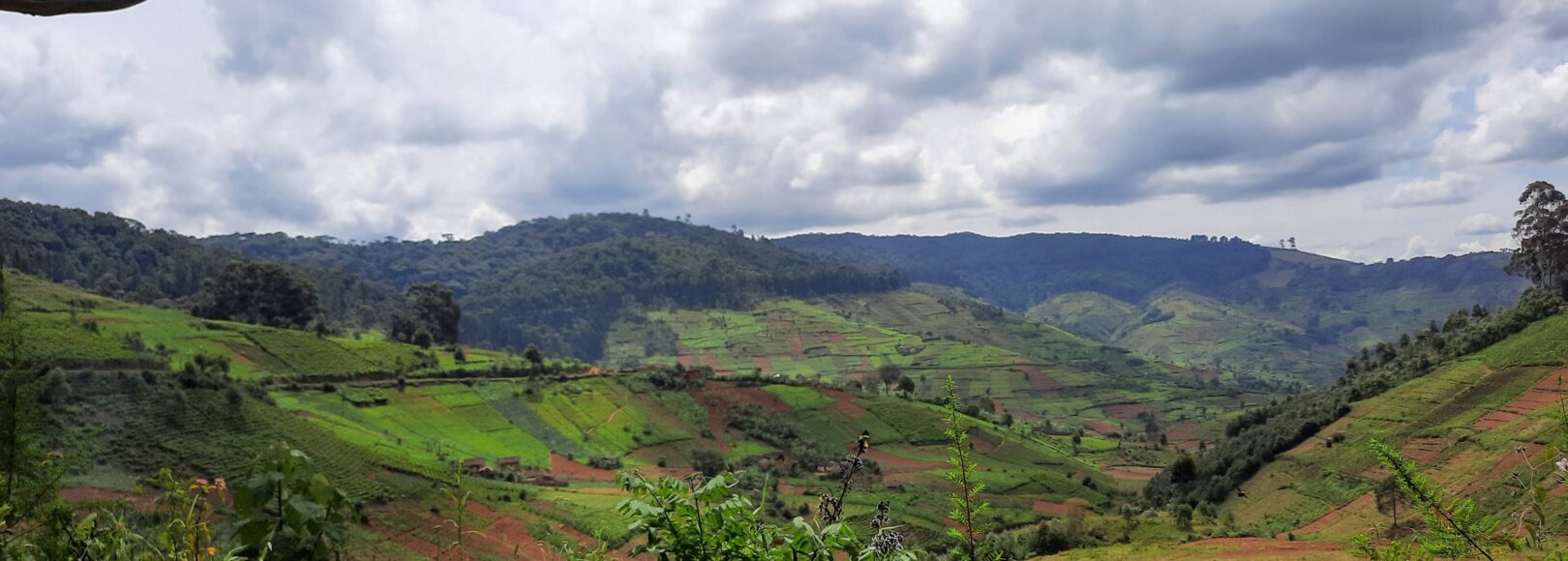 <h2 class='so-single__pagetitle'>Études et planification</h2>