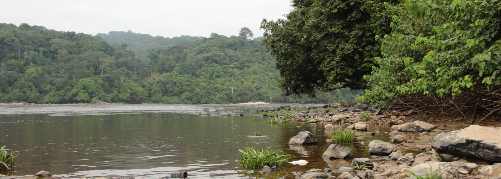 <h1 class='so-single__pagetitle'>Planification et étude de faisabilité<h1>