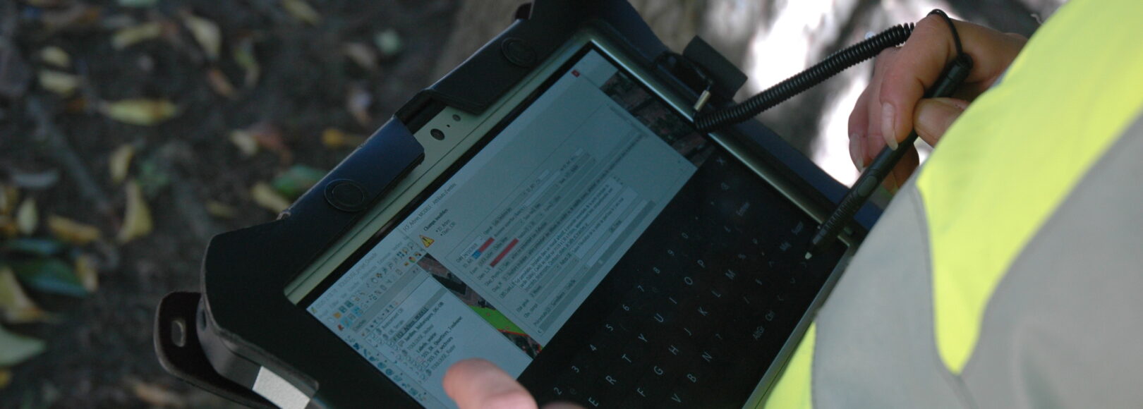 <h2 class='so-single__pagetitle'>Audit et expertise</h2>