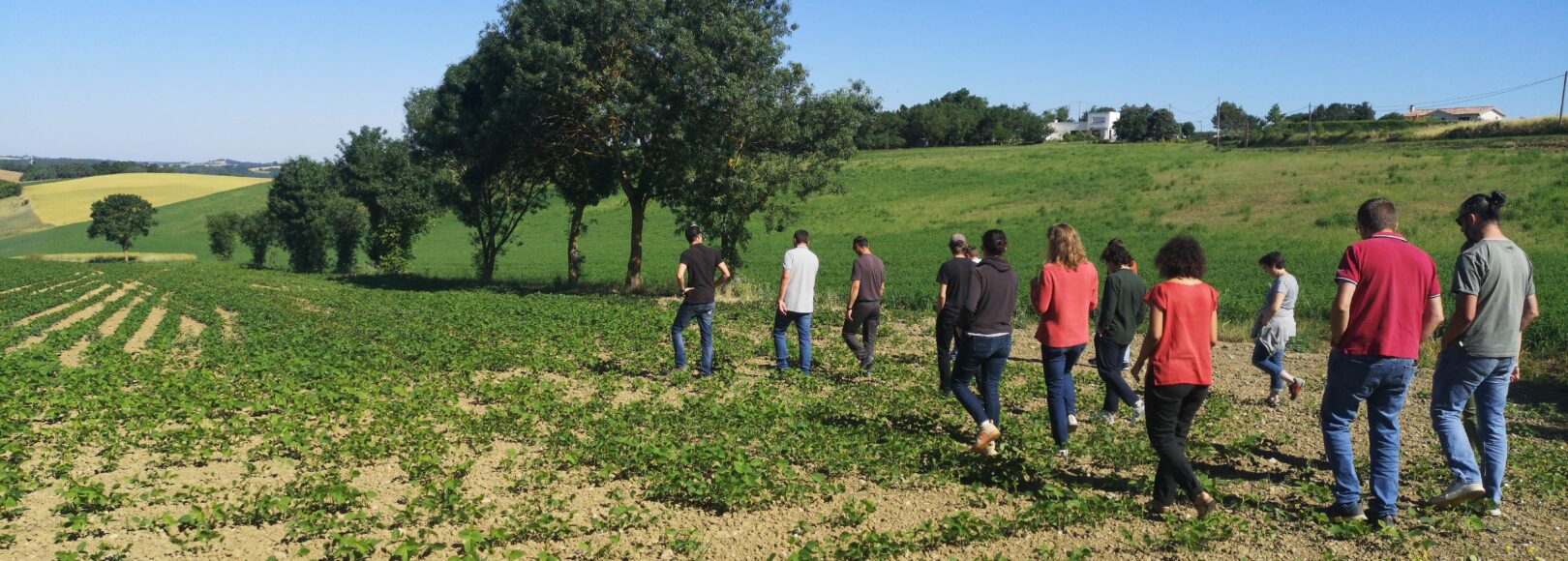 <h2 class='so-single__pagetitle'>Formation – Communication</h2>