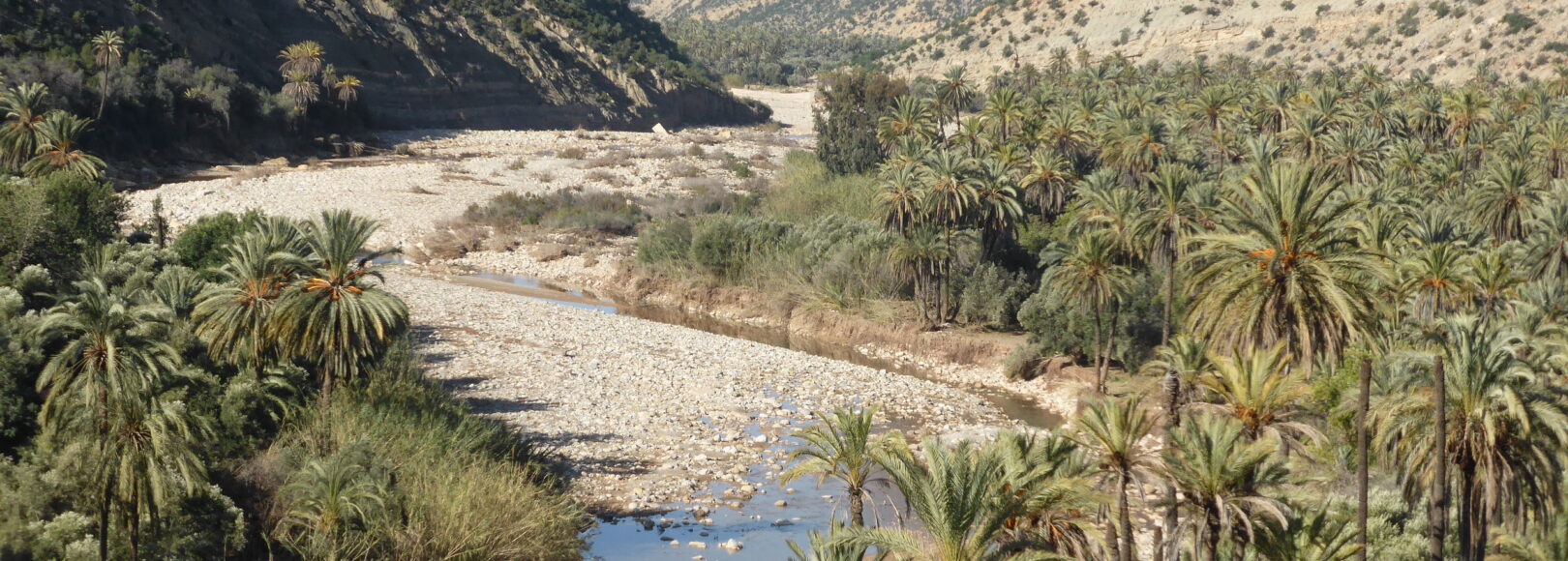 <h2 class='so-single__pagetitle'>Gestion concertée des bassins versants et des usages de l’eau<h2>