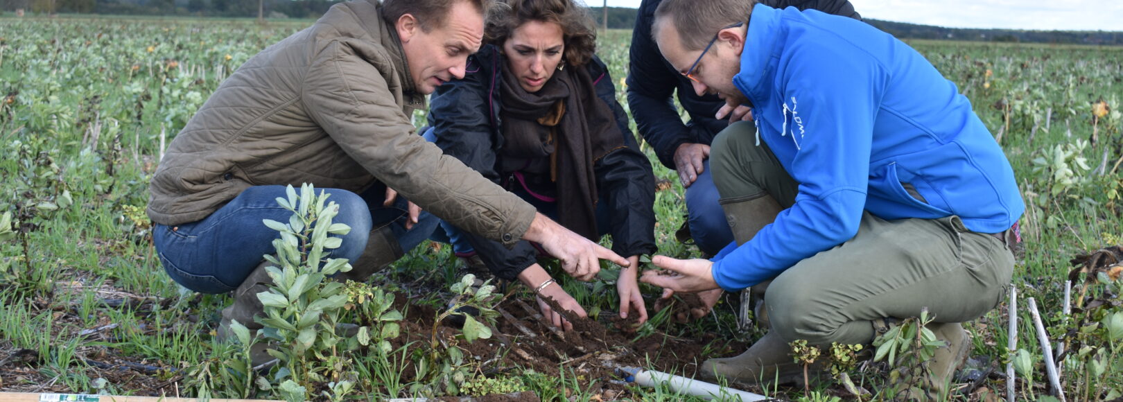 <h2 class='so-single__pagetitle'>Agriculture durable</h2>