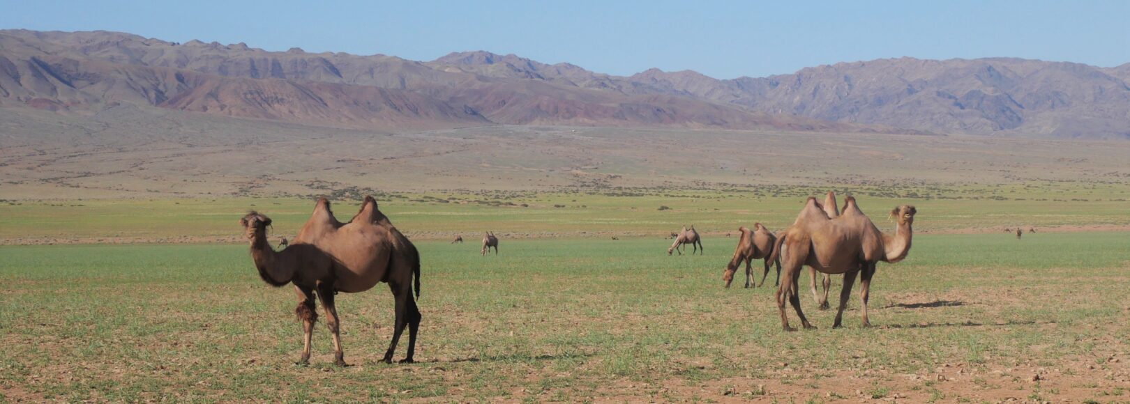 <h2 class='so-single__pagetitle'>Climat</h2>