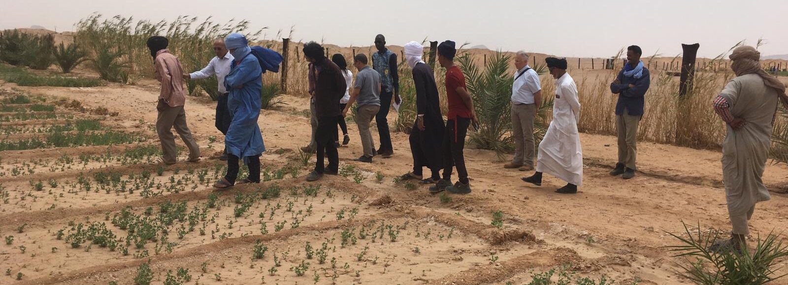 <h2 class='so-single__pagetitle'>Adaptation au changement climatique<h2>