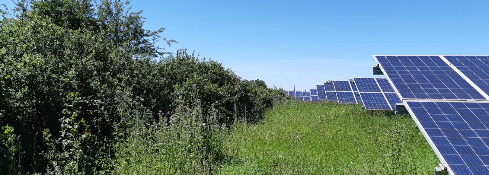 <h2 class='so-single__pagetitle'>Développement des énergies renouvelables<h2>