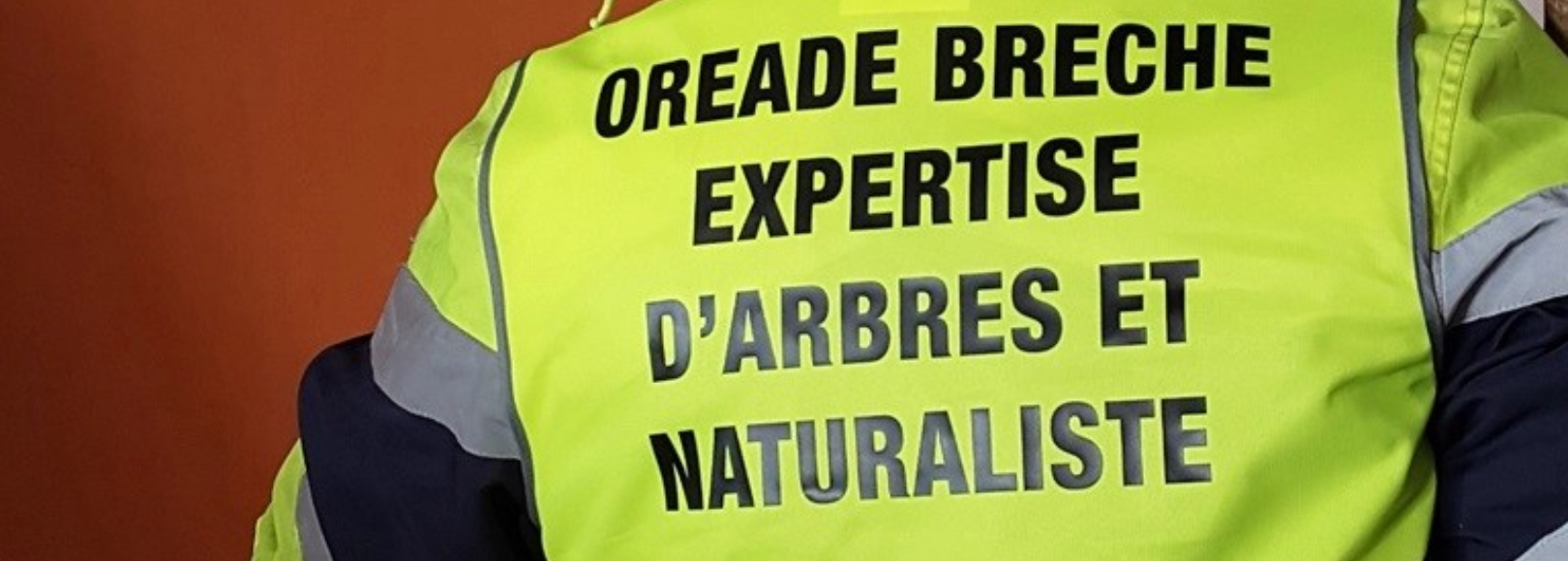 <h1 class='so-single__pagetitle'>Expertise scientifique et technique<h1>