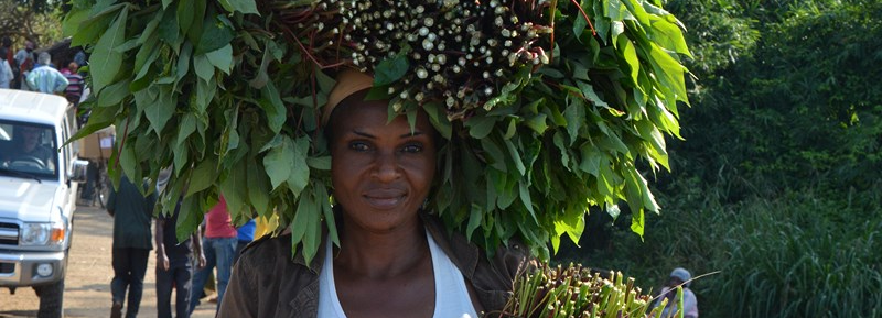 <h2 class='so-single__pagetitle'>Accompagnement du développement des populations locales<h2>