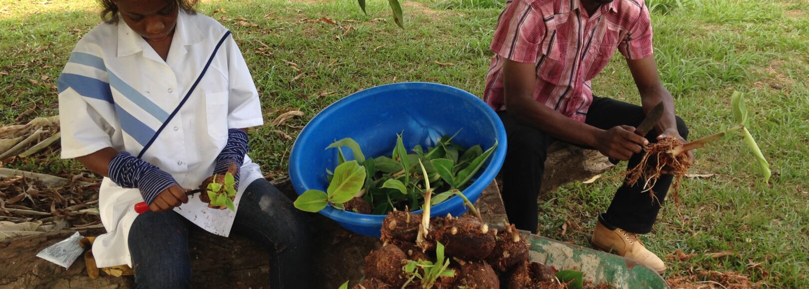 <h2 class='so-single__pagetitle'>Développement d’AGR et de la qualité de vie des populations<h2>