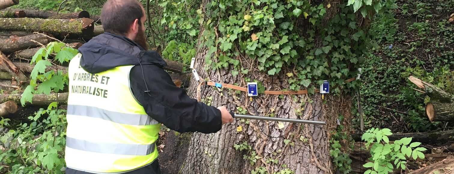 <h2 class='so-single__pagetitle'>Développement de la nature en ville<h2>