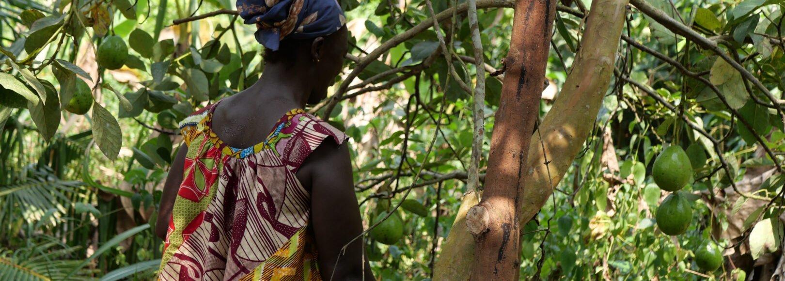 <h2 class='so-single__pagetitle'>Résilience et autonomie alimentaire<h2>