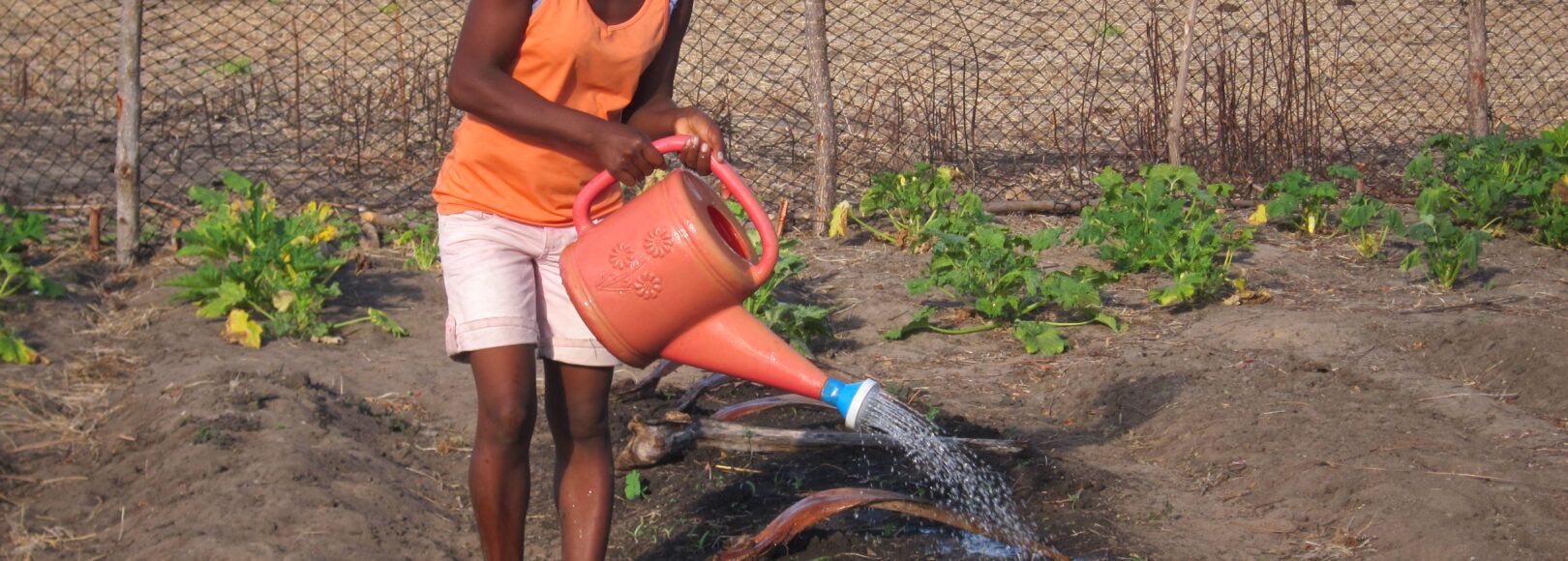 <h2 class='so-single__pagetitle'>Gestion des crises alimentaires<h2>