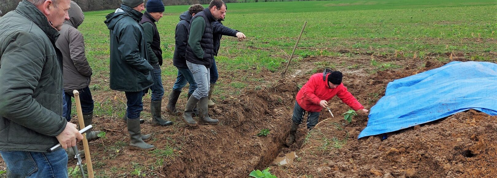 <h1 class='so-single__pagetitle'>Appui au montage de filières<h1>