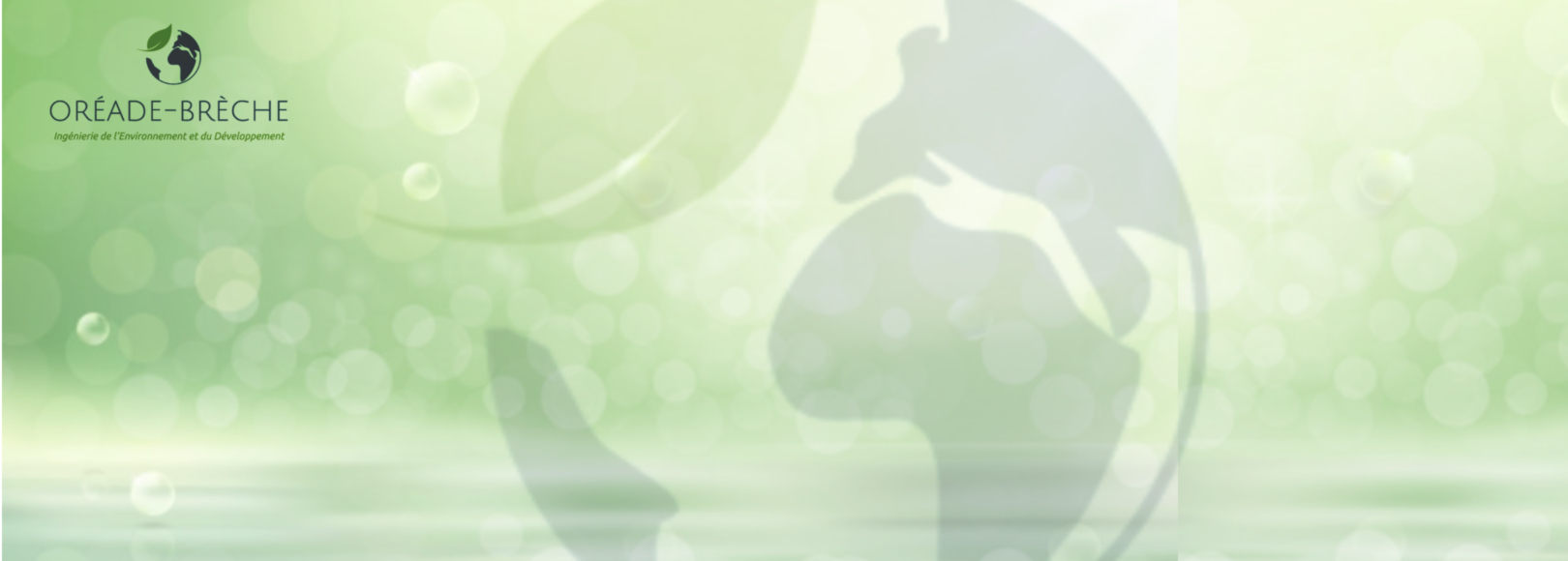 <h1 class='so-single__pagetitle'>Contacts et implantations</h1>