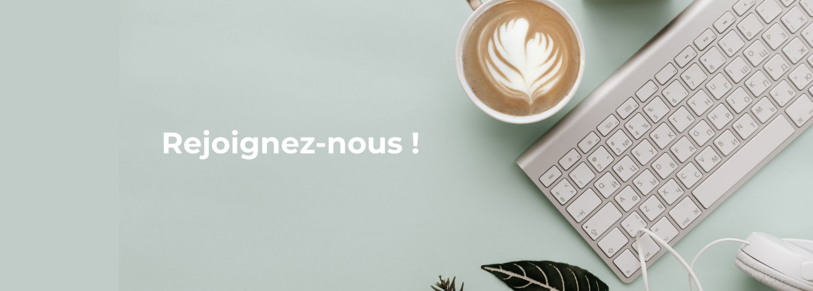 <h1 class='so-single__pagetitle'>Offres d’emploi, de missions, de stages et alternances</h1>