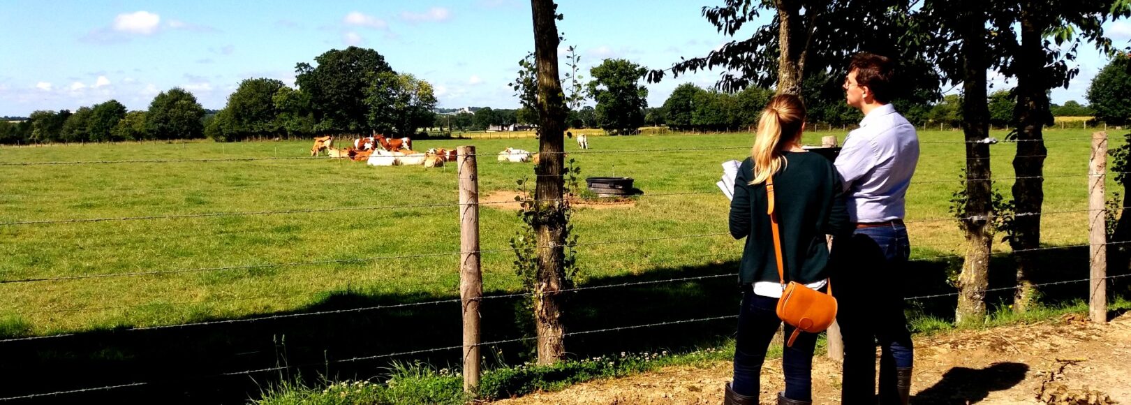 <h1 class='so-single__pagetitle'>Offres d’emploi</h1>