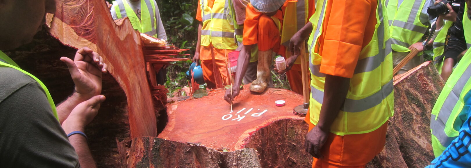 <h1 class='so-single__pagetitle'>Certification – Audit<h1>