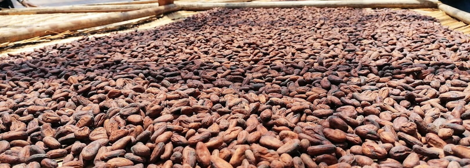 <h1 class='so-single__pagetitle'>Étude et montage de filières<h1>